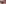  Right Background Image