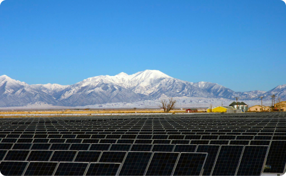 Solar farm
