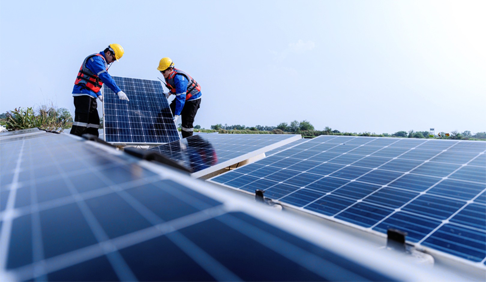 The most sustainable companies